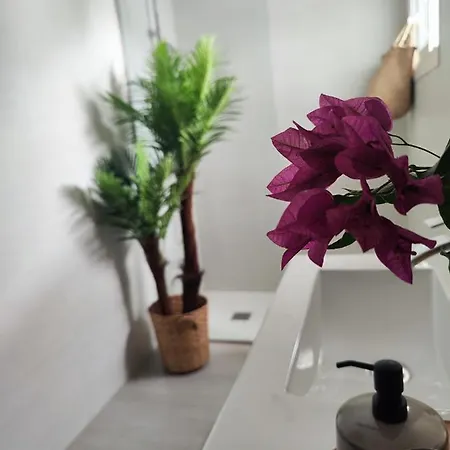 Calma Apartman Playa Honda