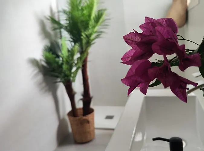 Calma Apartman Playa Honda